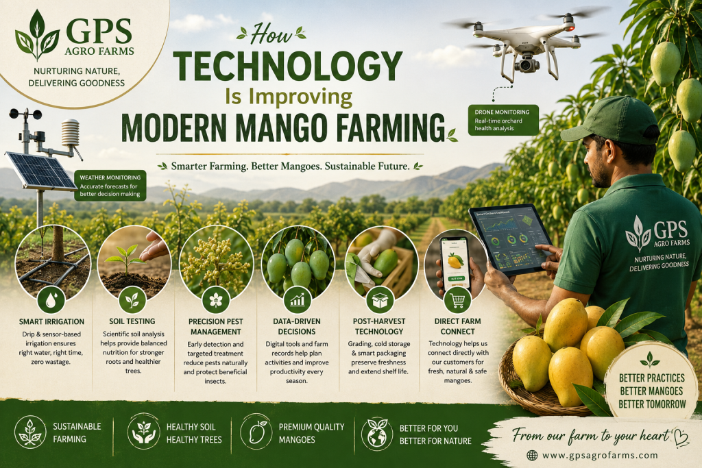 How Technology Is Improving Modern Mango Farming technologyhelparticle